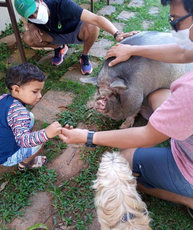Aldeia Parque Pousada Rural São Roque Zewnętrze zdjęcie