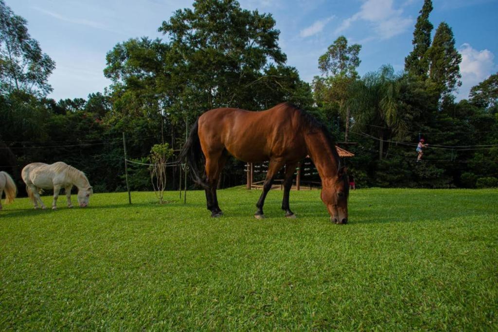 Aldeia Parque Pousada Rural São Roque Zewnętrze zdjęcie