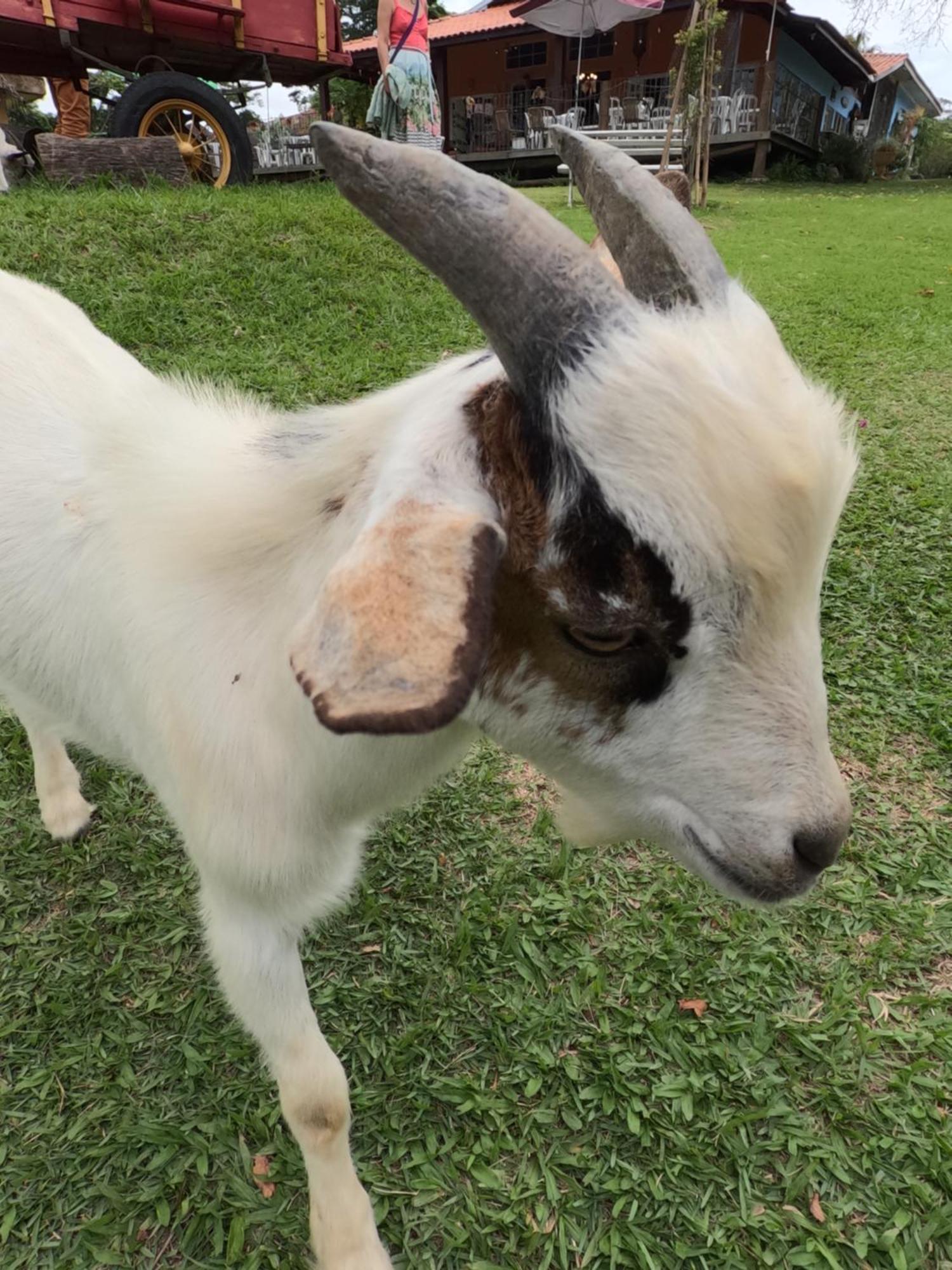 Aldeia Parque Pousada Rural São Roque Zewnętrze zdjęcie