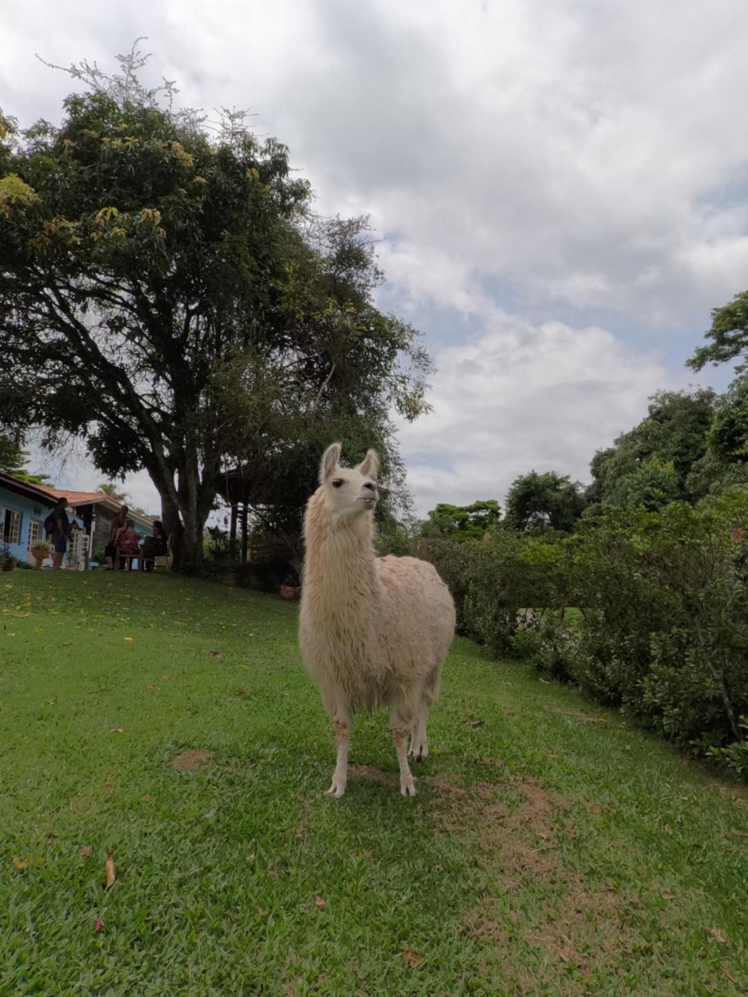 Aldeia Parque Pousada Rural São Roque Zewnętrze zdjęcie