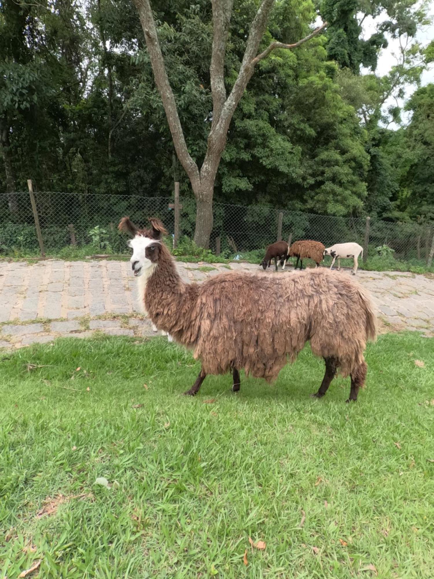 Aldeia Parque Pousada Rural São Roque Zewnętrze zdjęcie